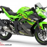 2019-Kawasaki-Ninja-125-Bike-Review-Lime-Green-6